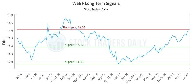 WSBF Long Term Analysis for June 28 2025