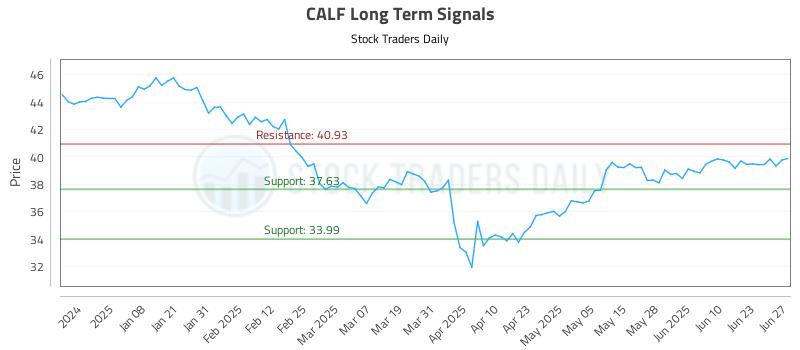 CALF Long Term Analysis for June 28 2025
