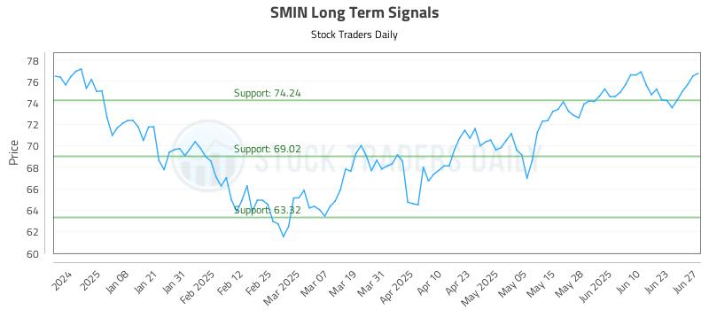 SMIN Long Term Analysis for June 29 2025 SMIN Long Term Analysis for June 29 2025