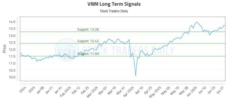 VNM Long Term Analysis for June 29 2025 VNM Long Term Analysis for June 29 2025