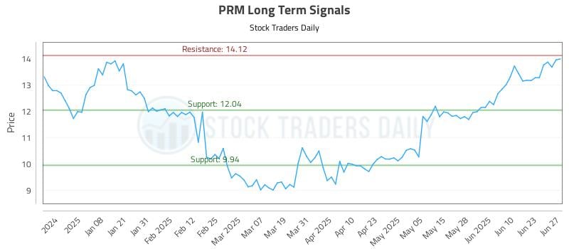 PRM Long Term Analysis for June 29 2025