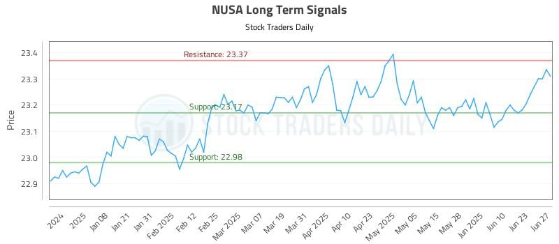 NUSA Long Term Analysis for June 29 2025
