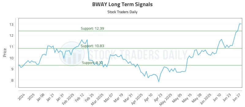 BWAY Long Term Analysis for June 29 2025