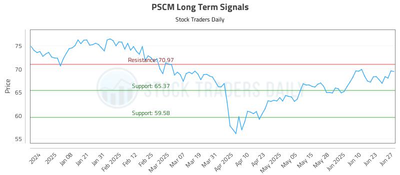 PSCM Long Term Analysis for June 29 2025
