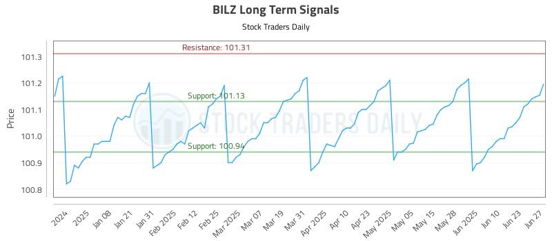 BILZ Long Term Analysis for June 29 2025