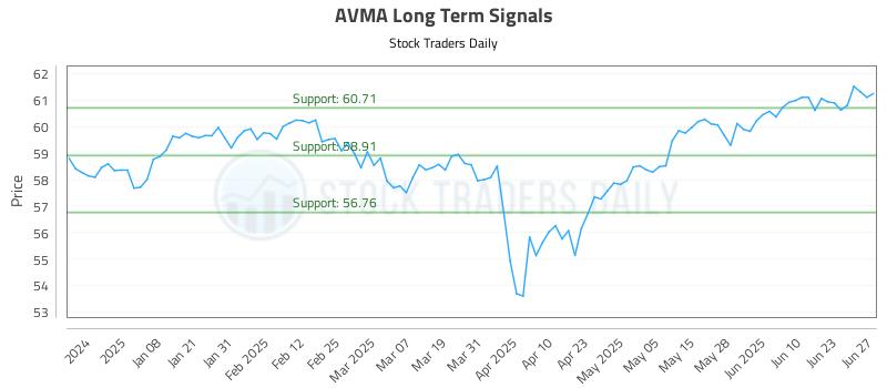 AVMA Long Term Analysis for June 29 2025 AVMA Long Term Analysis for June 29 2025