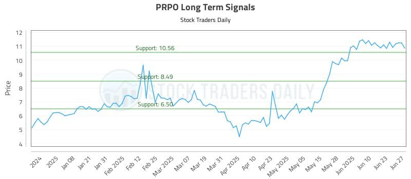 PRPO Long Term Analysis for June 29 2025