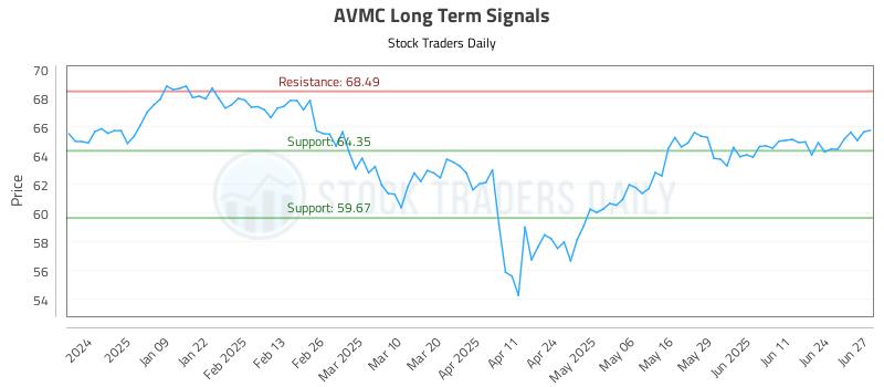 AVMC Long Term Analysis for June 30 2025