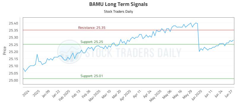 BAMU Long Term Analysis for June 30 2025 BAMU Long Term Analysis for June 30 2025