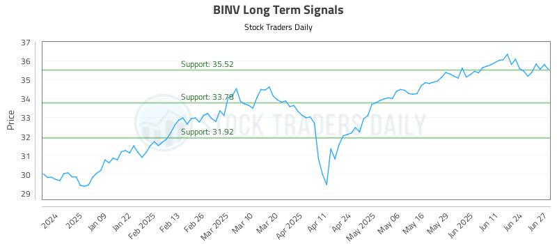 BINV Long Term Analysis for June 30 2025