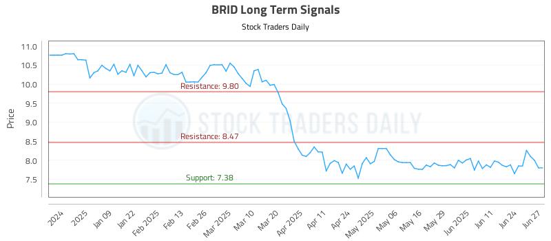 BRID Long Term Analysis for June 30 2025