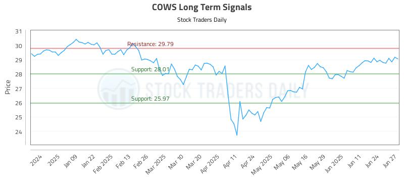 COWS Long Term Analysis for June 30 2025 COWS Long Term Analysis for June 30 2025