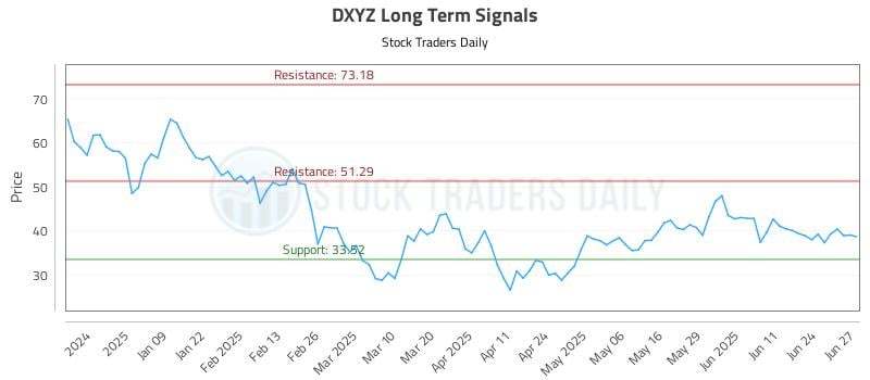 DXYZ Long Term Analysis for June 30 2025