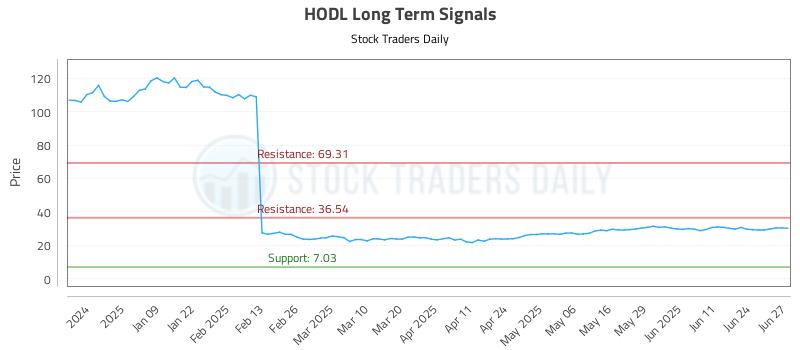 HODL Long Term Analysis for June 30 2025 HODL Long Term Analysis for June 30 2025
