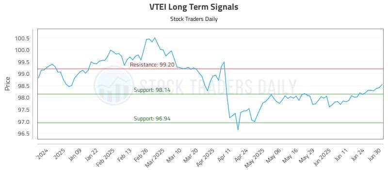 VTEI Long Term Analysis for June 30 2025 VTEI Long Term Analysis for June 30 2025