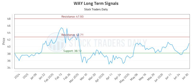 WAY Long Term Analysis for June 30 2025 WAY Long Term Analysis for June 30 2025