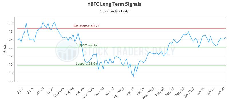 YBTC Long Term Analysis for June 30 2025