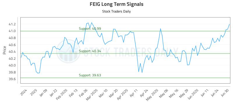 FEIG Long Term Analysis for June 30 2025