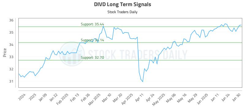 DIVD Long Term Analysis for June 30 2025 DIVD Long Term Analysis for June 30 2025