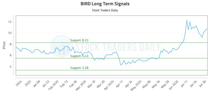 BIRD Long Term Analysis for June 30 2025 BIRD Long Term Analysis for June 30 2025
