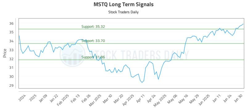 MSTQ Long Term Analysis for June 30 2025