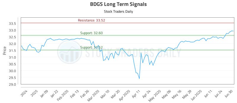 BDGS Long Term Analysis for June 30 2025