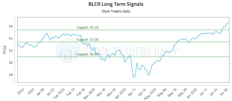 BLCR Long Term Analysis for June 30 2025