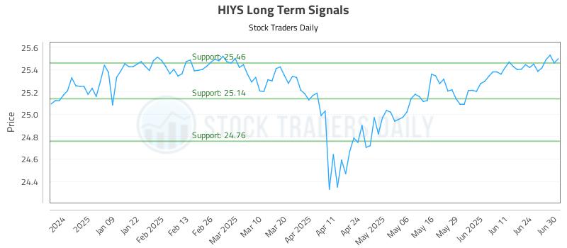 HIYS Long Term Analysis for June 30 2025