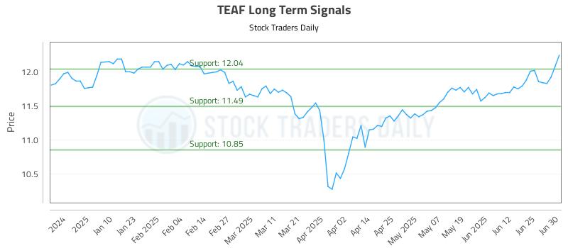 TEAF Long Term Analysis for July 1 2025 TEAF Long Term Analysis for July 1 2025