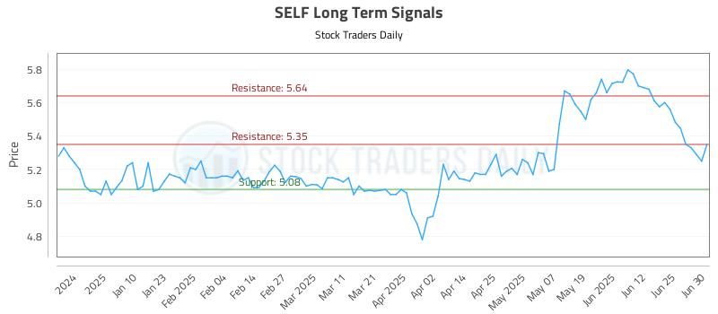 SELF Long Term Analysis for July 1 2025