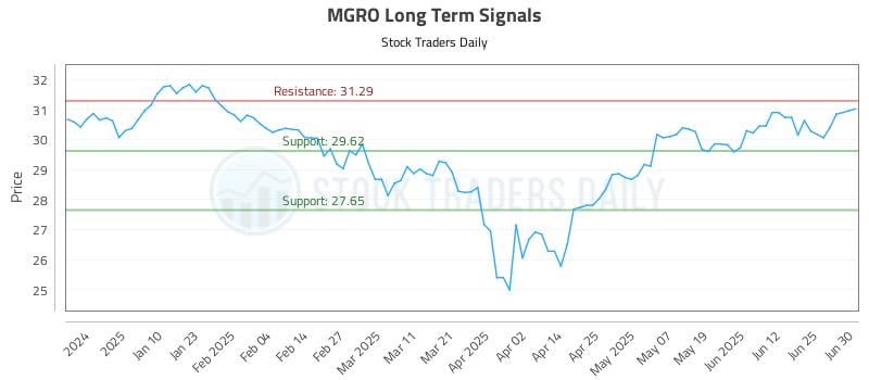 MGRO Long Term Analysis for July 1 2025 MGRO Long Term Analysis for July 1 2025