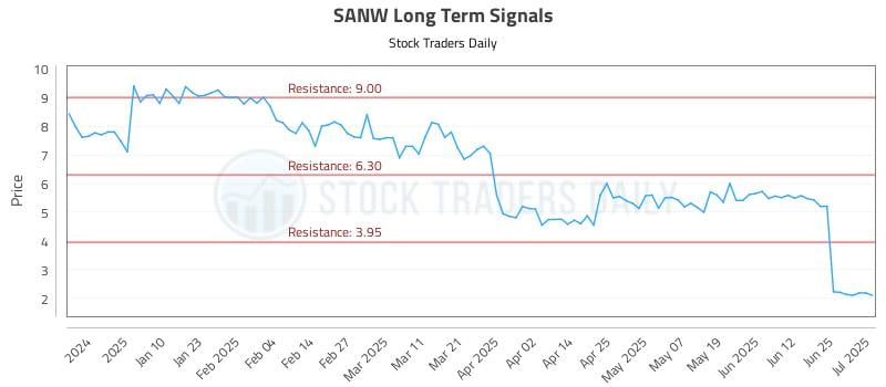 SANW Long Term Analysis for July 1 2025
