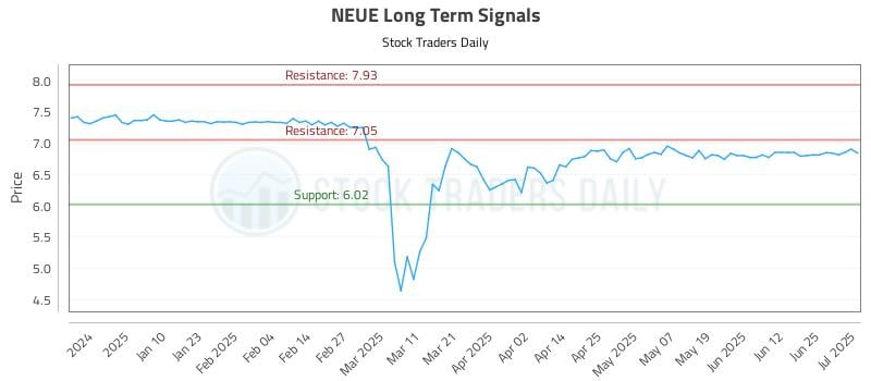 NEUE Long Term Analysis for July 1 2025