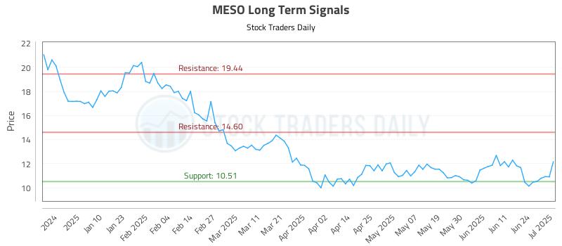 MESO Long Term Analysis for July 1 2025