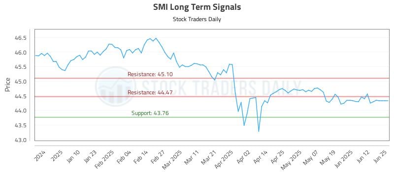 SMI Long Term Analysis for July 1 2025