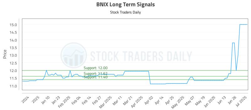 BNIX Long Term Analysis for July 1 2025 BNIX Long Term Analysis for July 1 2025