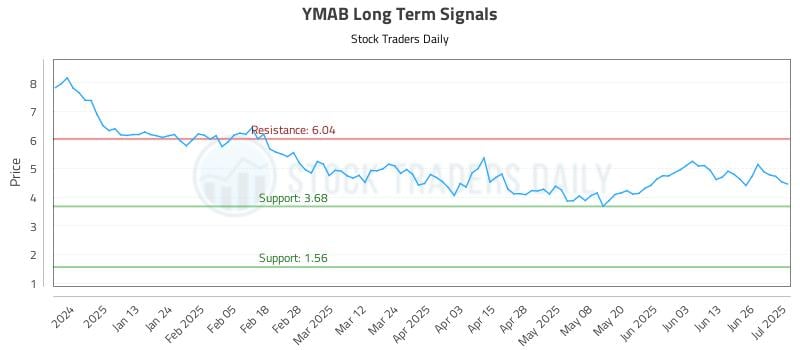 YMAB Long Term Analysis for July 2 2025
