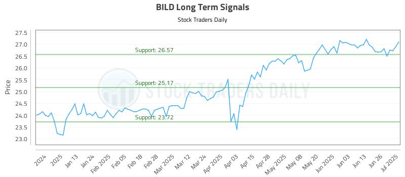 BILD Long Term Analysis for July 2 2025