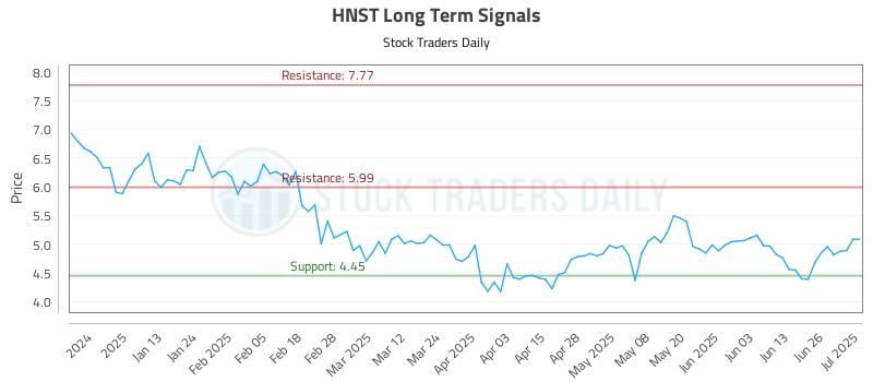 HNST Long Term Analysis for July 2 2025