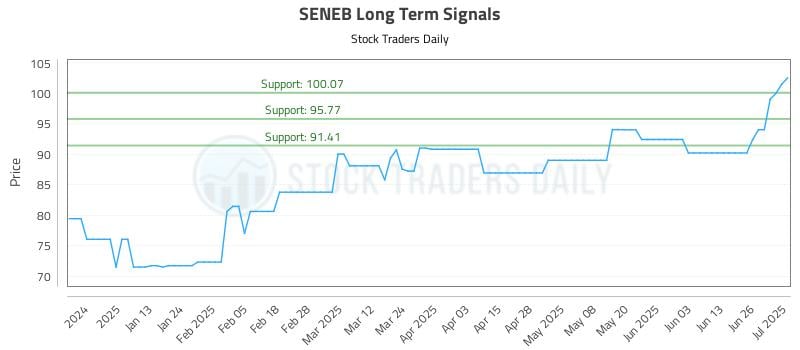 SENEB Long Term Analysis for July 2 2025