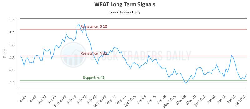 WEAT Long Term Analysis for July 2 2025