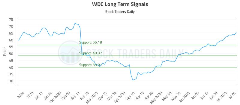 WDC Long Term Analysis for July 2 2025