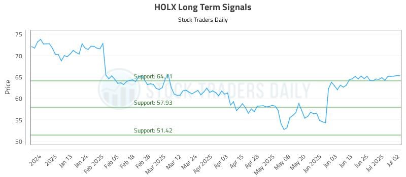 HOLX Long Term Analysis for July 2 2025