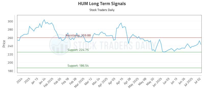 HUM Long Term Analysis for July 2 2025