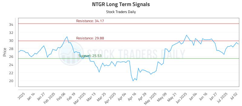 NTGR Long Term Analysis for July 3 2025