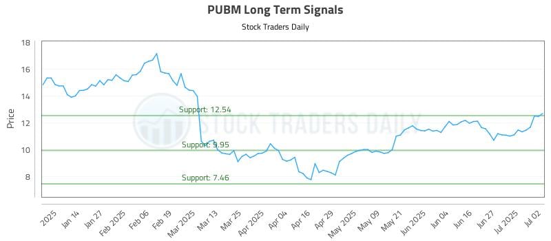 PUBM Long Term Analysis for July 3 2025