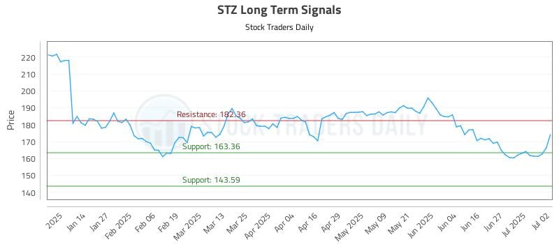 STZ Long Term Analysis for July 3 2025