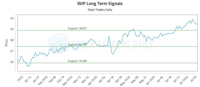 WIP Long Term Analysis for July 3 2025
