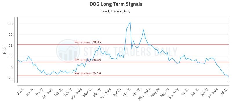 DOG Long Term Analysis for July 3 2025