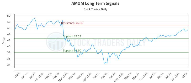 AMOM Long Term Analysis for July 3 2025 AMOM Long Term Analysis for July 3 2025